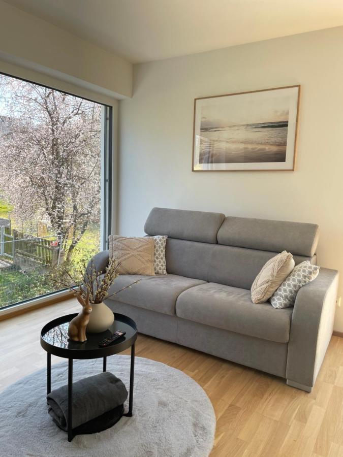 Luxury - Apartment Mit Balkon In Seenaehe Gmunden Ngoại thất bức ảnh